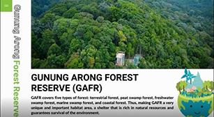 Environmental Initiative