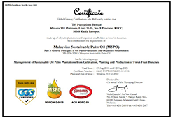 Environmental Initiative